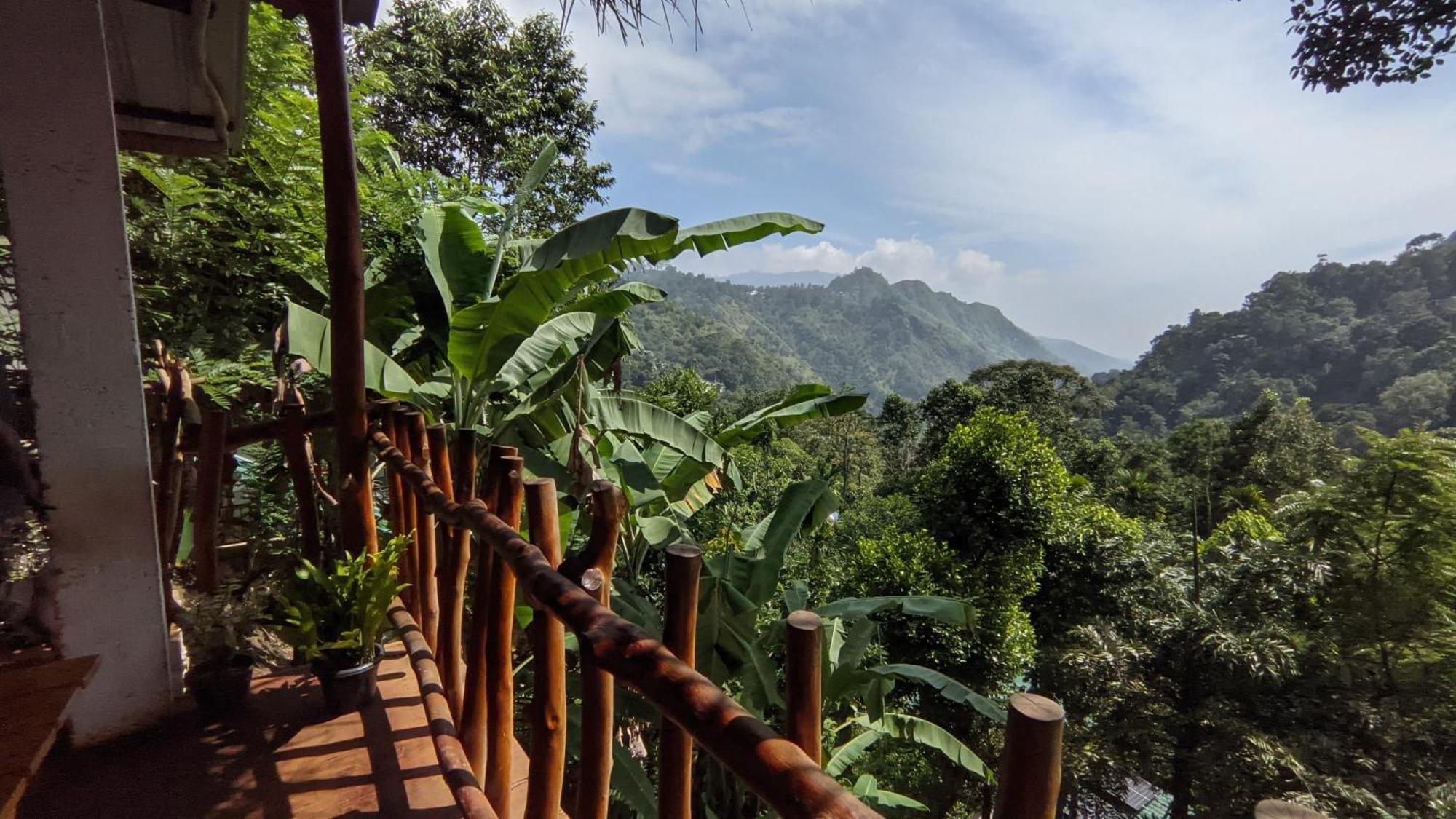 Mid Scenery Home Stay Ella Εξωτερικό φωτογραφία